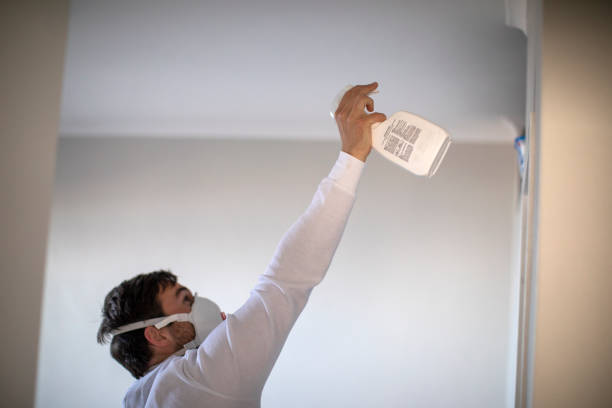 Best Mold Remediation Services  in Smyrna, DE