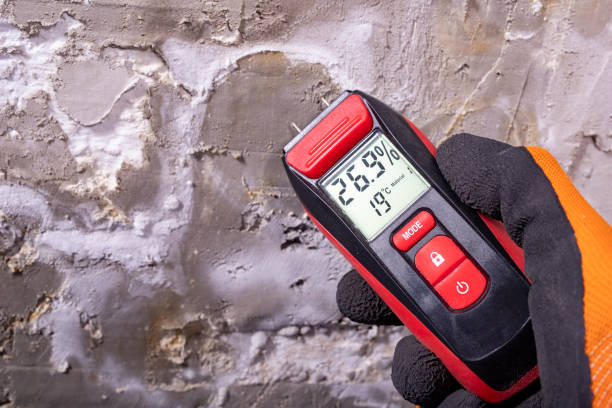 Best Mold Removal Company Near Me  in Smyrna, DE
