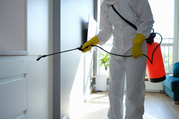 Best Professional Mold Removal  in Smyrna, DE